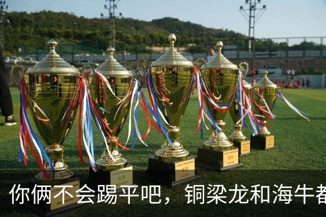 你俩不会踢平吧，铜梁龙和海牛都在中超遭遇了12轮不胜