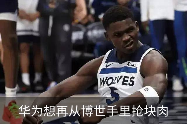 华为想再从博世手里抢块肉