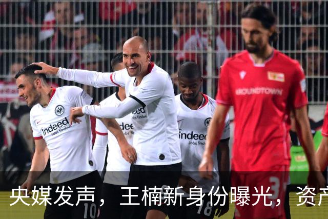 央媒发声，王楠新身份曝光，资产查封被带走调查传闻背后另有隐情