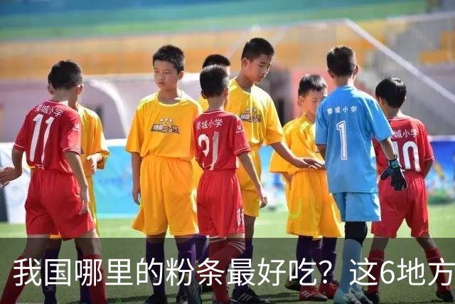 我国哪里的粉条最好吃？这6地方榜上有名，不含木薯和添加剂