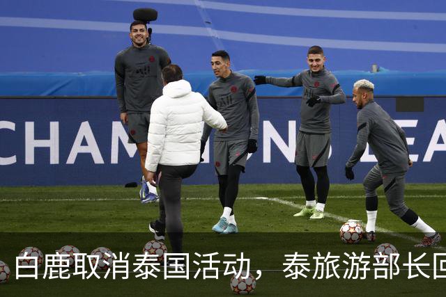 白鹿取消泰国活动，泰旅游部长回应惹争议