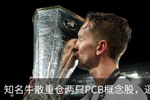 知名牛散重仓两只PCB概念股，逼近举牌线
