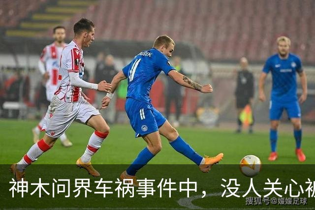 神木问界车祸事件中，没人关心被烧死的那个人