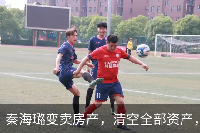 秦海璐变卖房产，清空全部资产，凑出近亿身家，绝境兜底救下刘涛