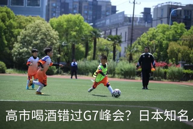 高市喝酒错过G7峰会？日本知名人士公开怒骂，前所未闻应该辞职
