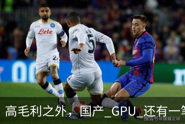 高毛利之外，国产 GPU 还有一笔 “软件账”